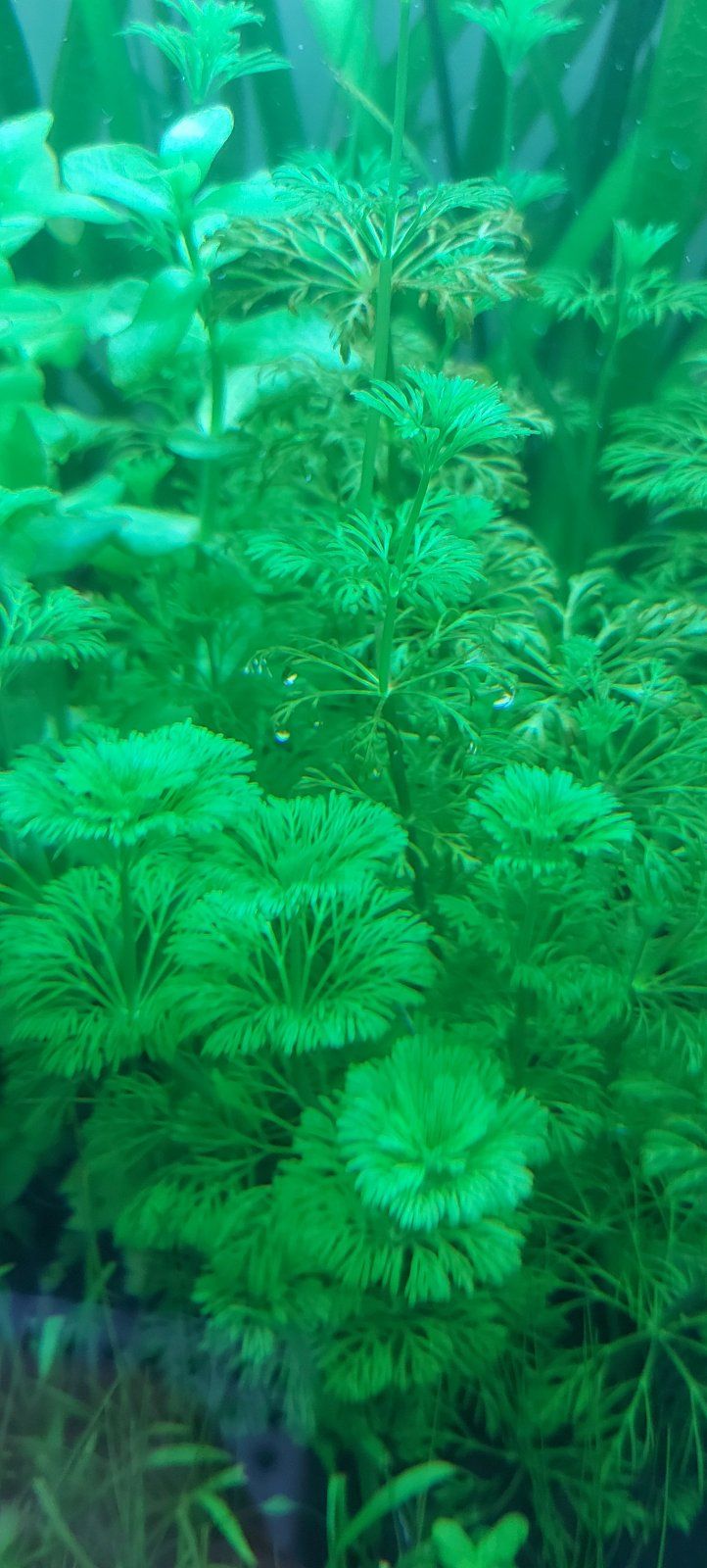 20220517_183406.jpg