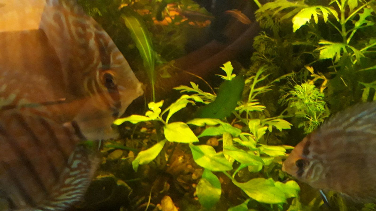 20220519_180108.jpg
