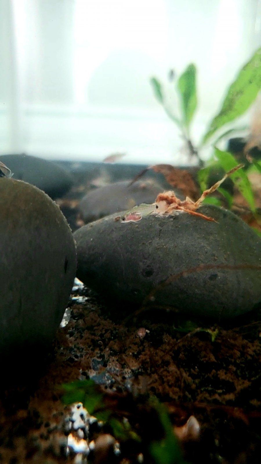 20220719_185235_capture.jpg