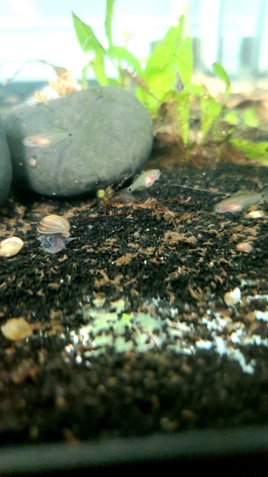 20220722_100751_capture.jpg