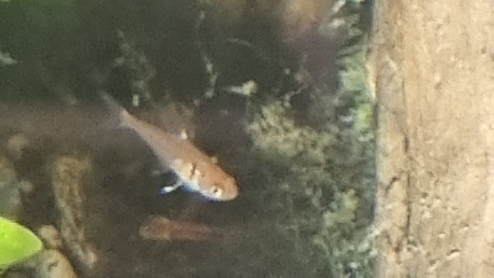 20220904_091542.jpg