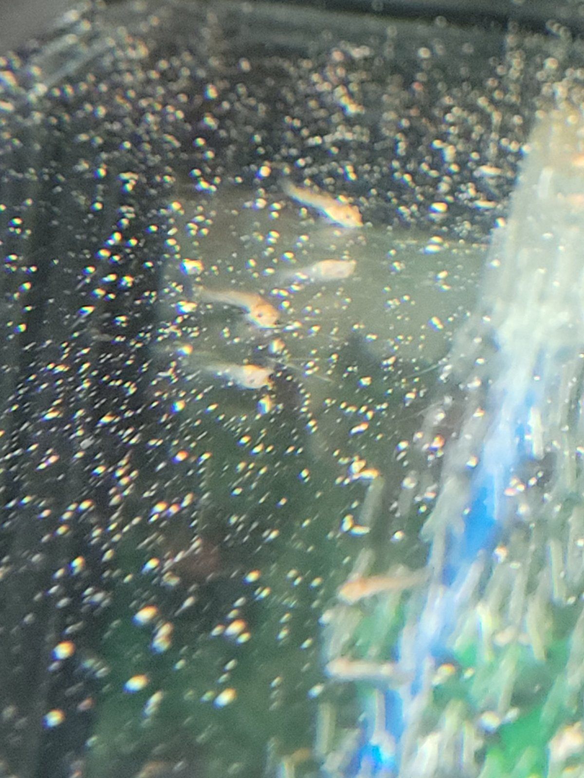 20221114_184050.jpg