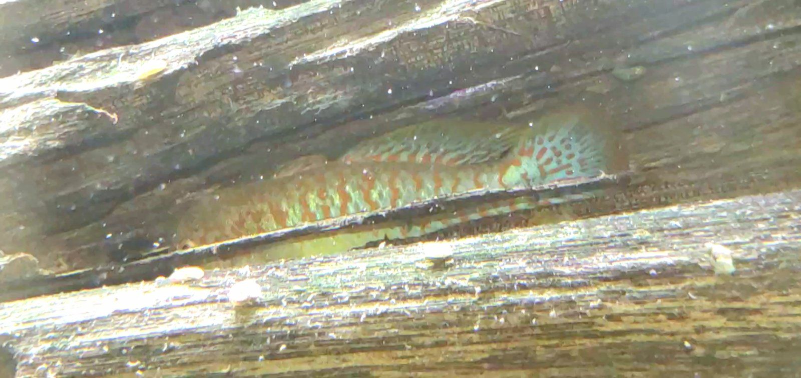 20230731_140035_capture.jpg