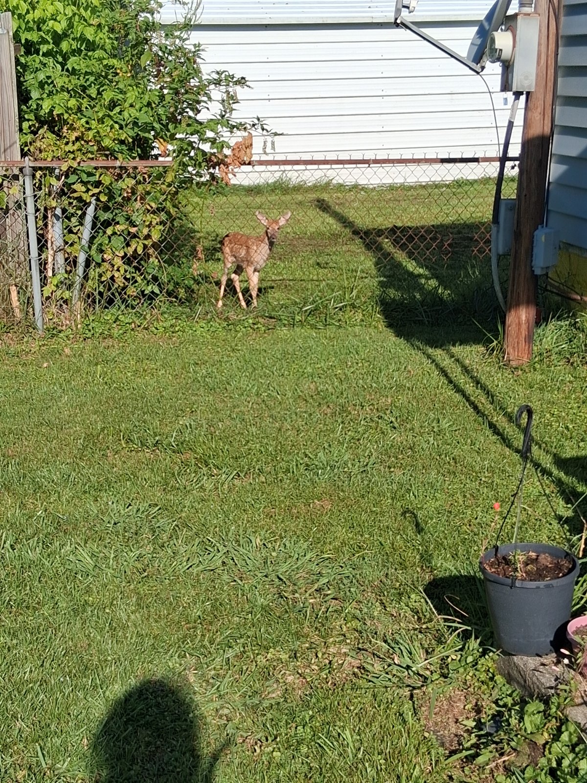 20250828_092757.jpg