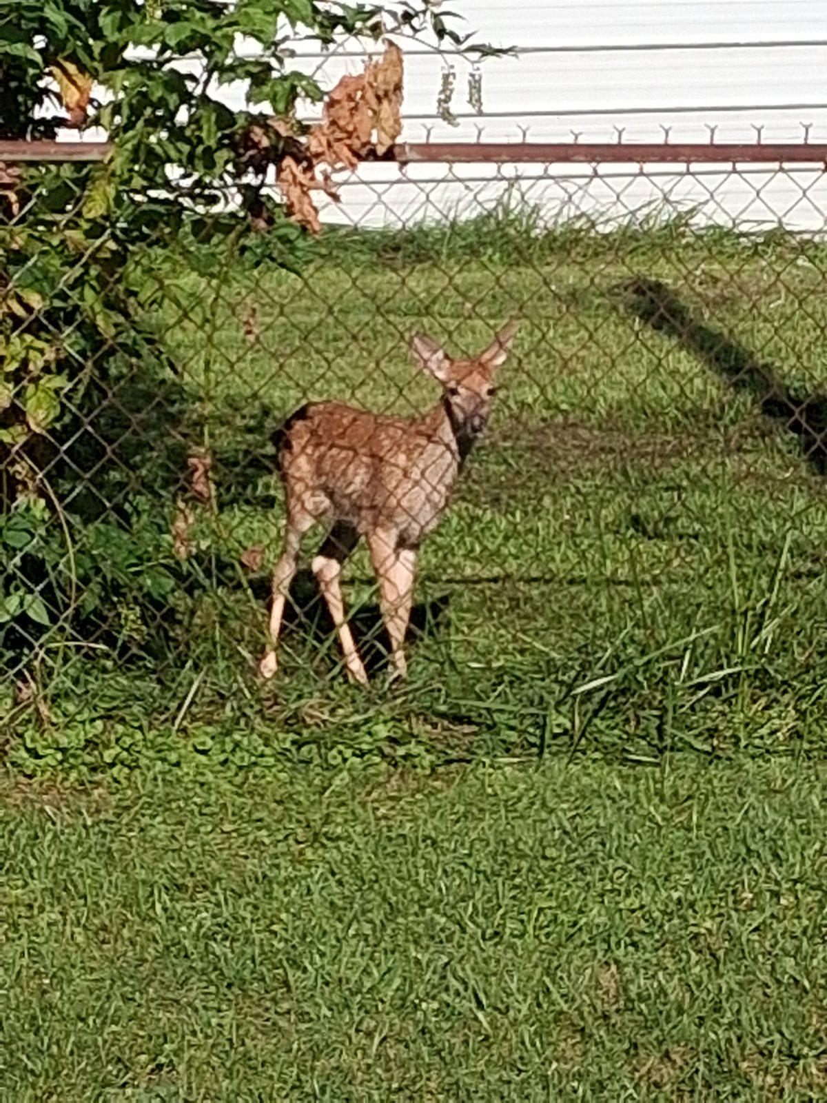 20250828_092803.jpg