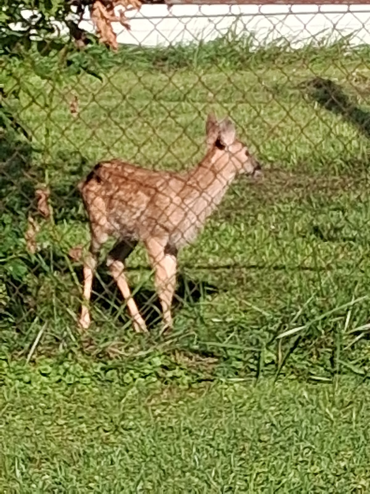 20250828_092808.jpg