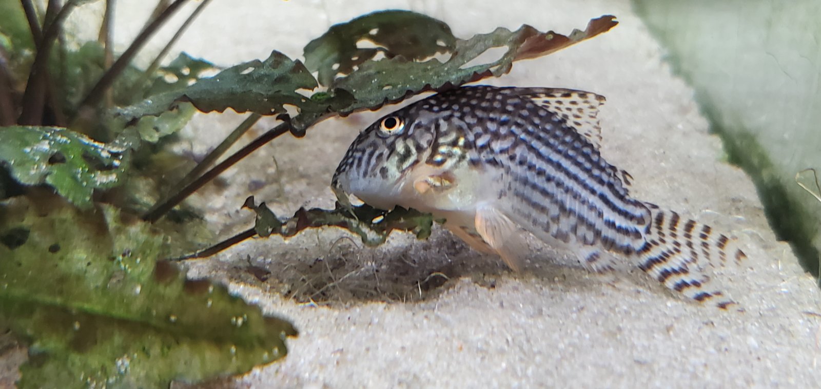 20251030_141406.jpg 20251030_141406.jpg