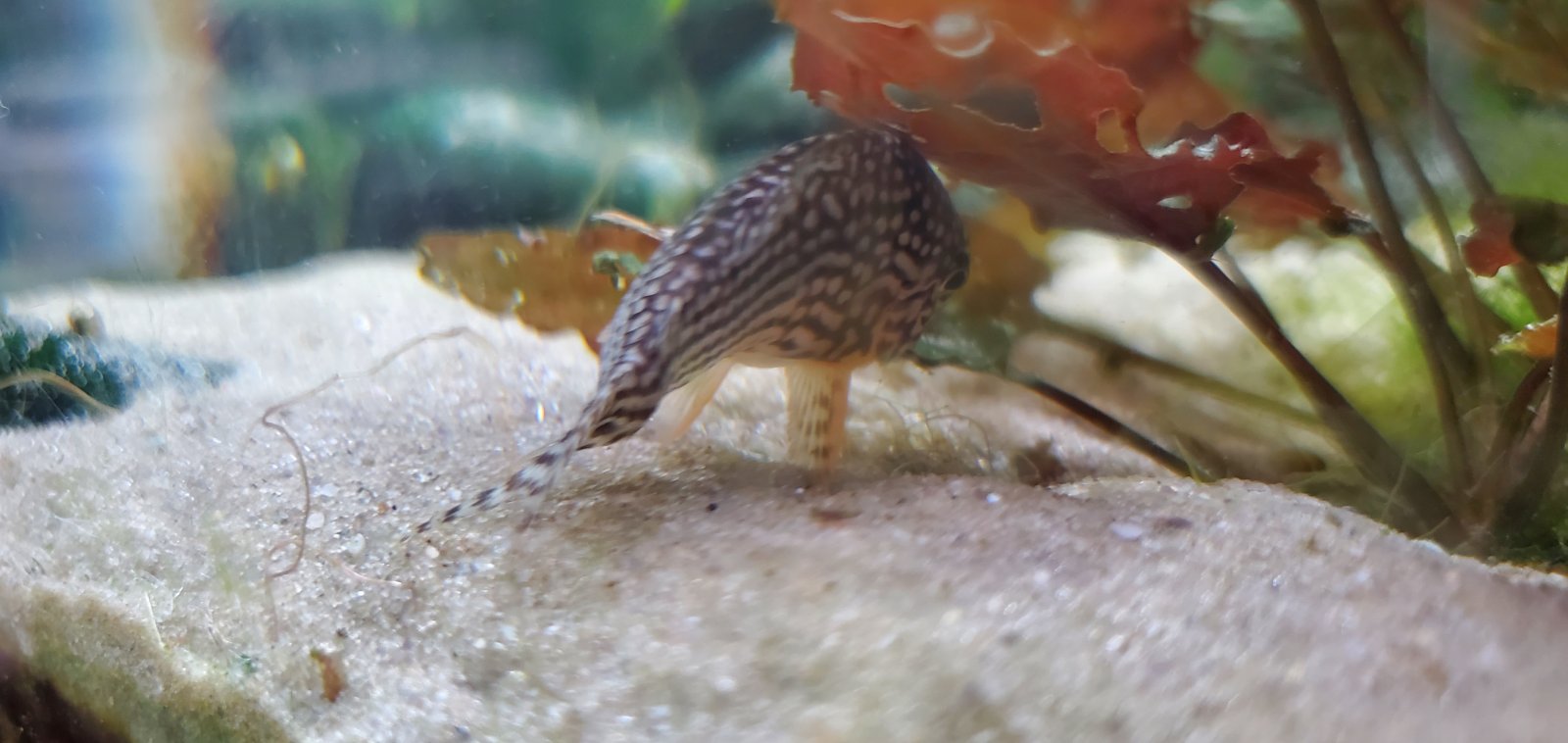 20251030_141431.jpg 20251030_141431.jpg