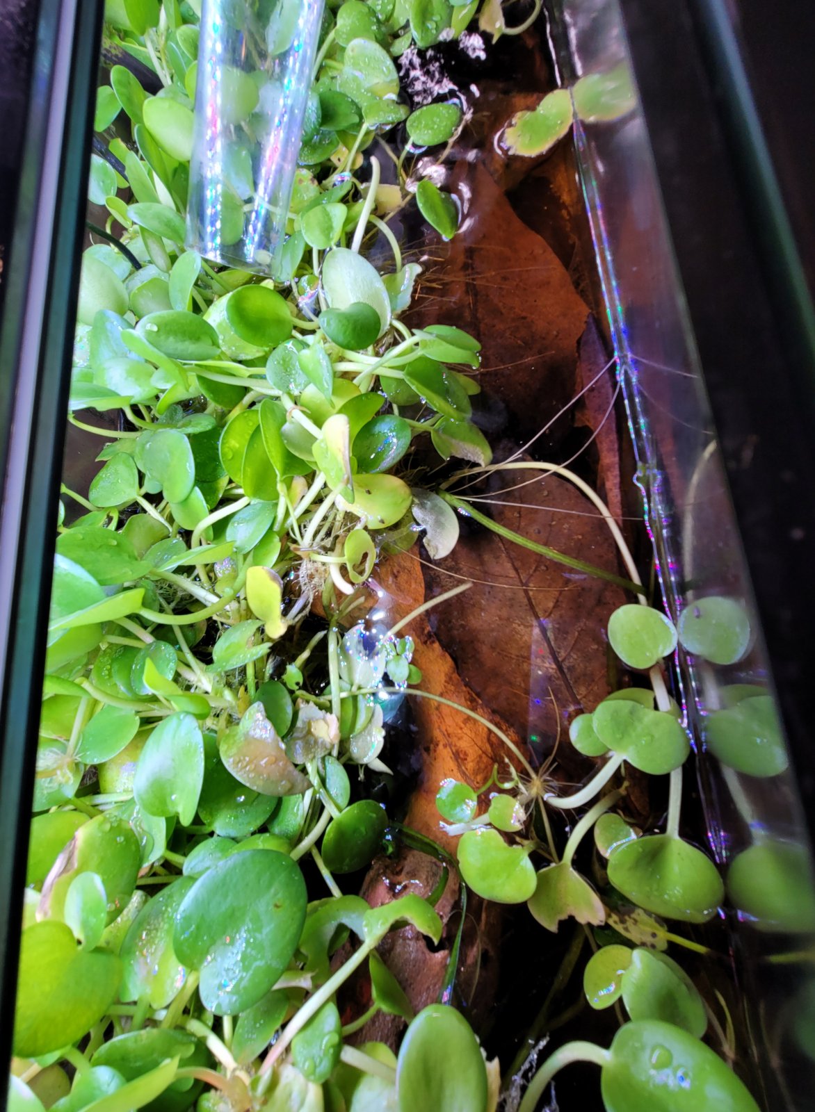 20l.jpg