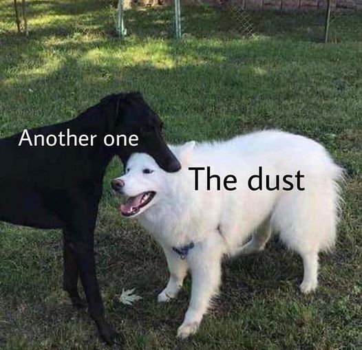306506803_3259587751021927_7816241097569442050_n.jpg