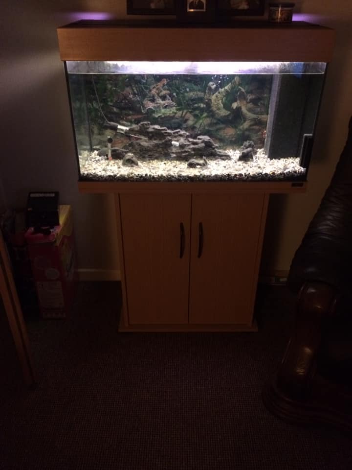 45quid.jpg