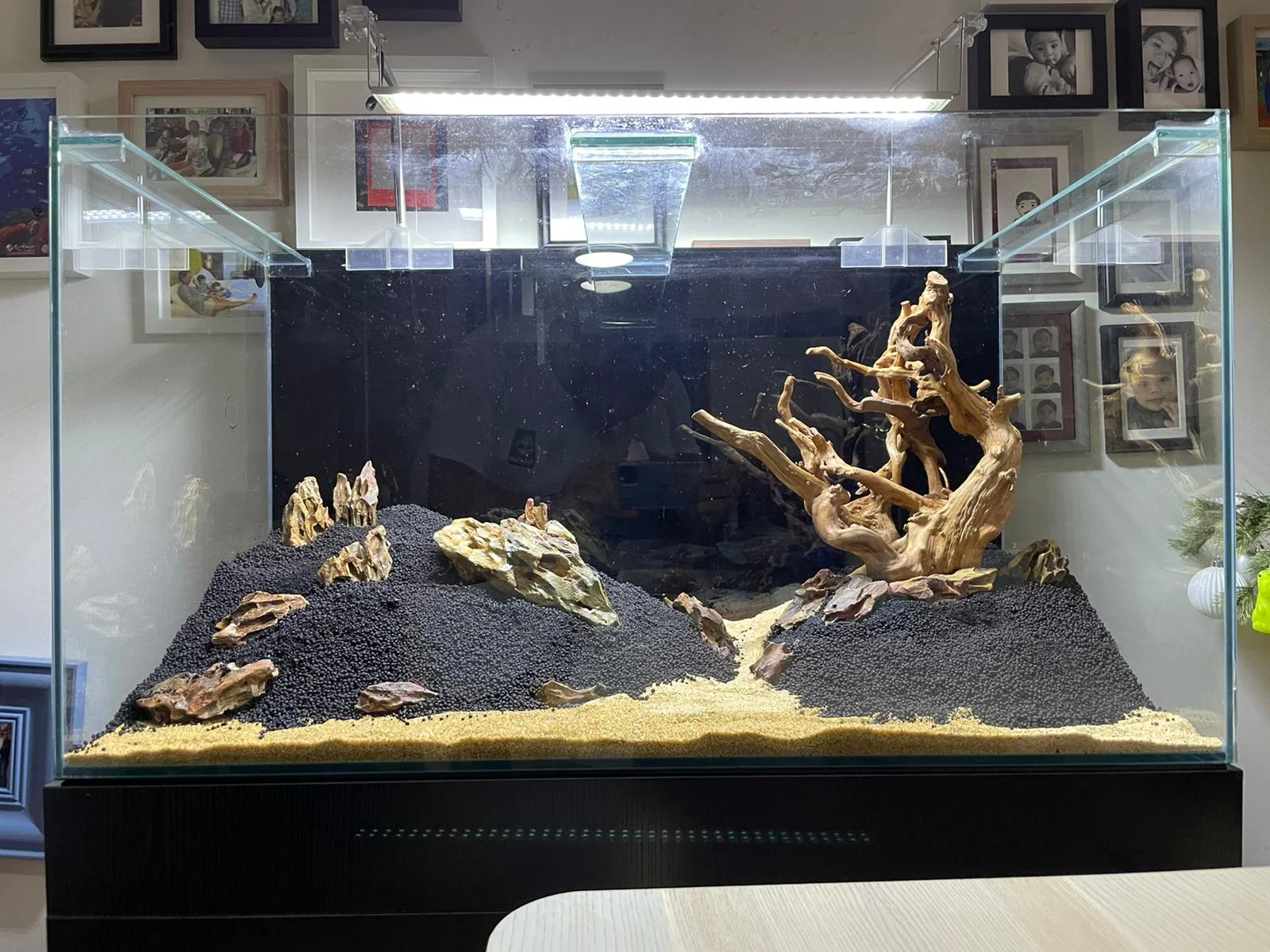 50gal scaping4.webp