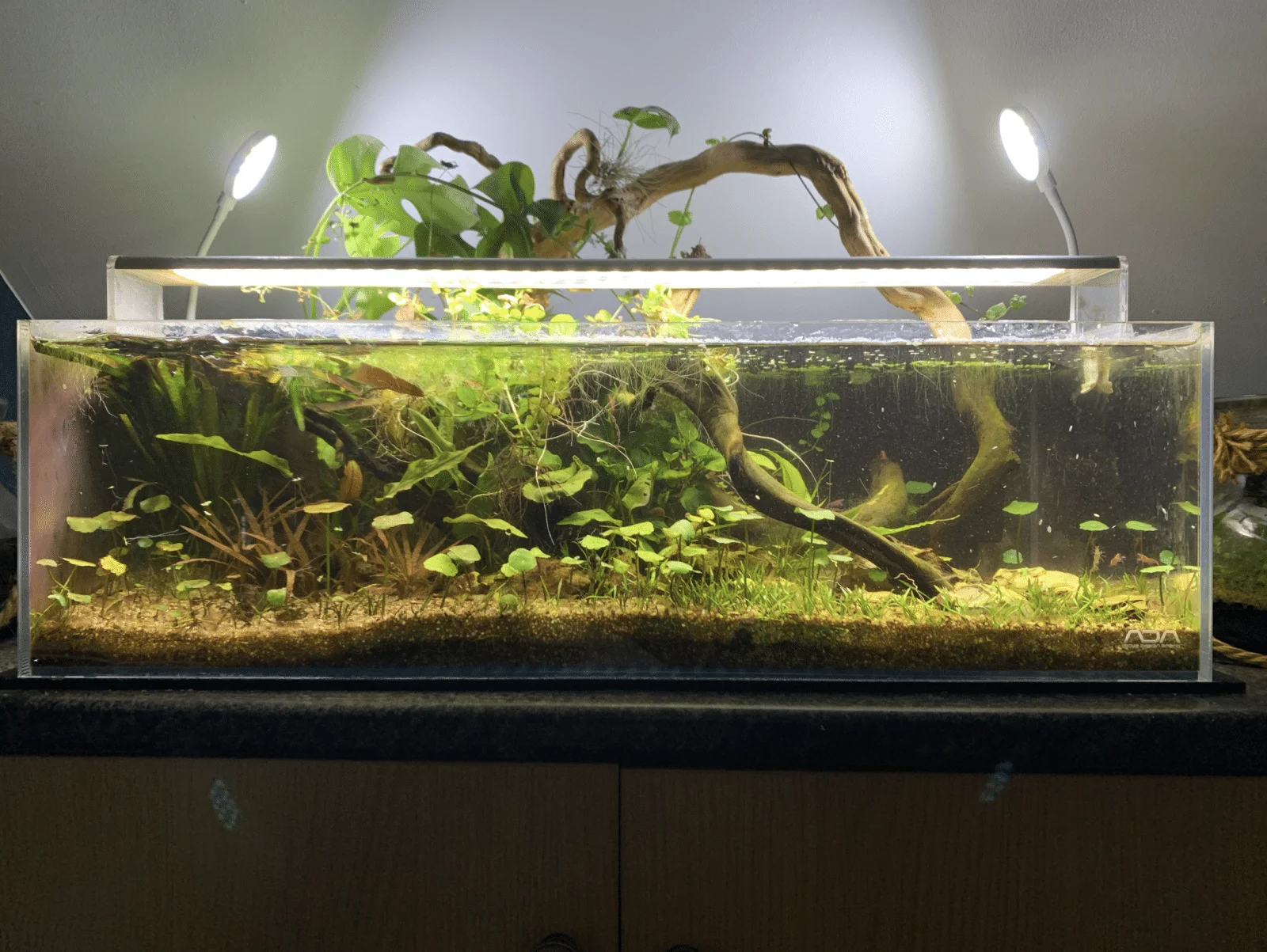 8 gal.webp