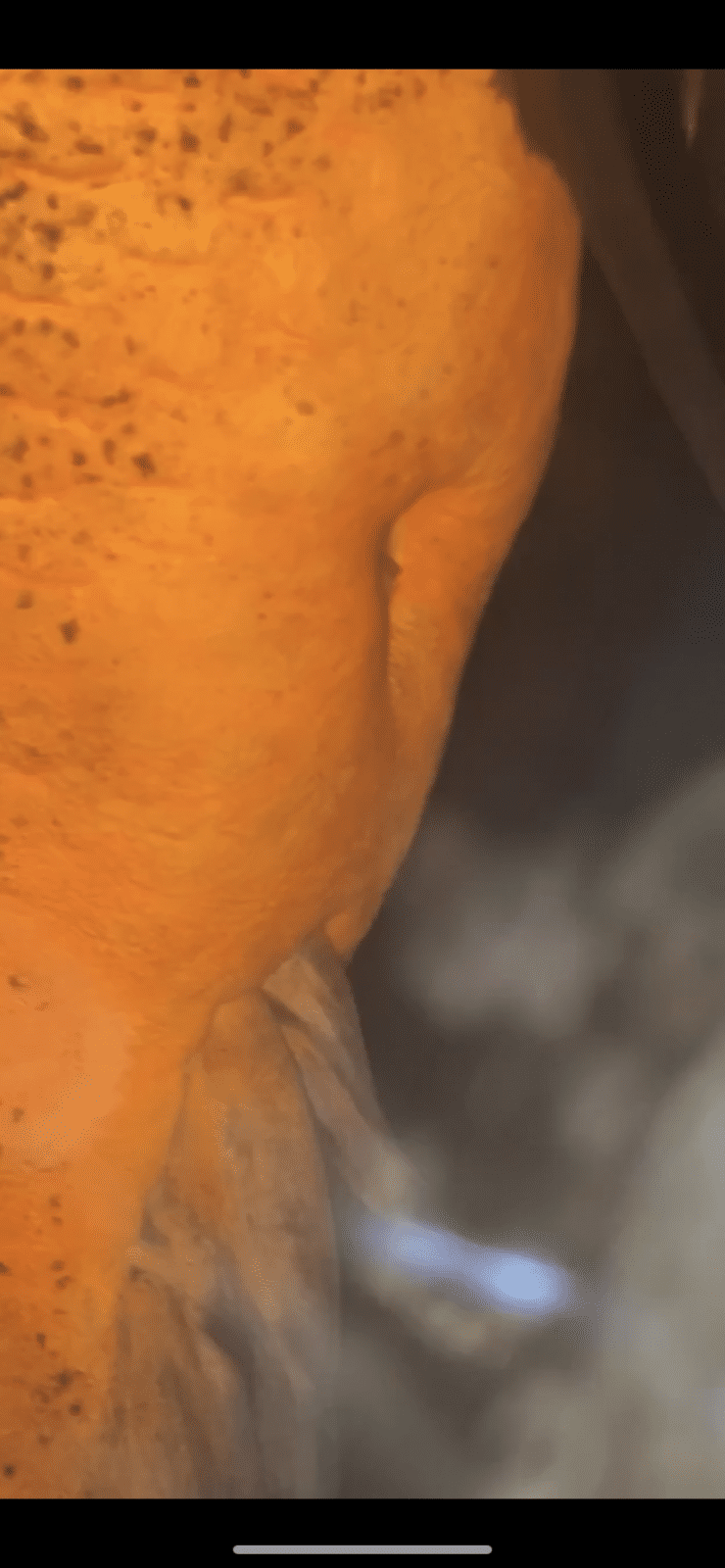 89941361-F80D-41C4-88B1-823B4E0B1B9A.png