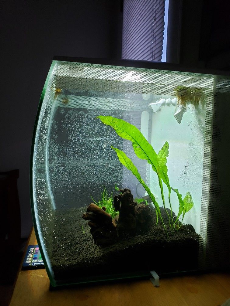 15 Gallon Fluval Flex Stocking Fish Forum