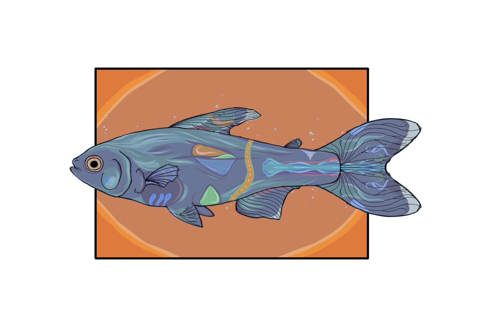 cochus blue1.5.png