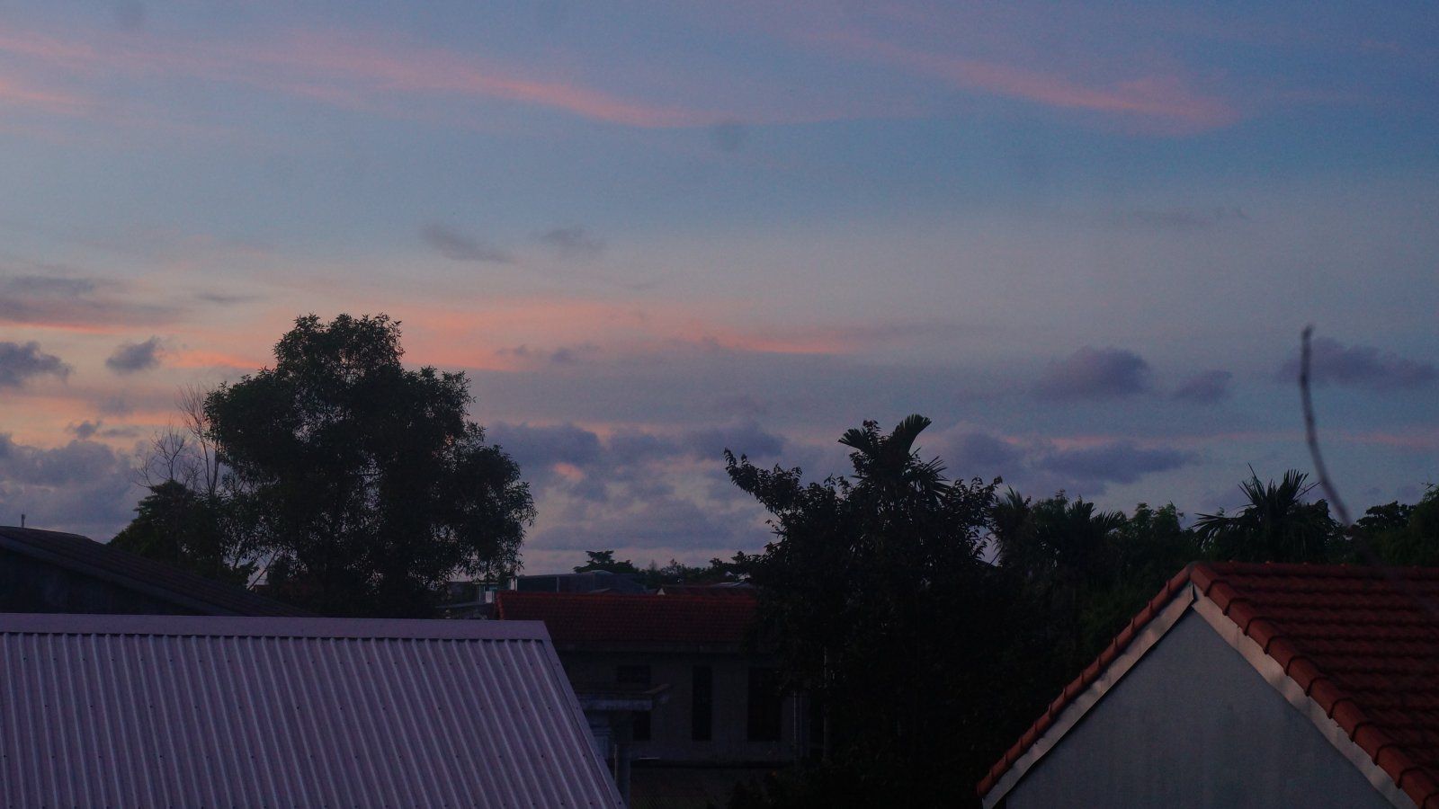 DSC04497.JPG