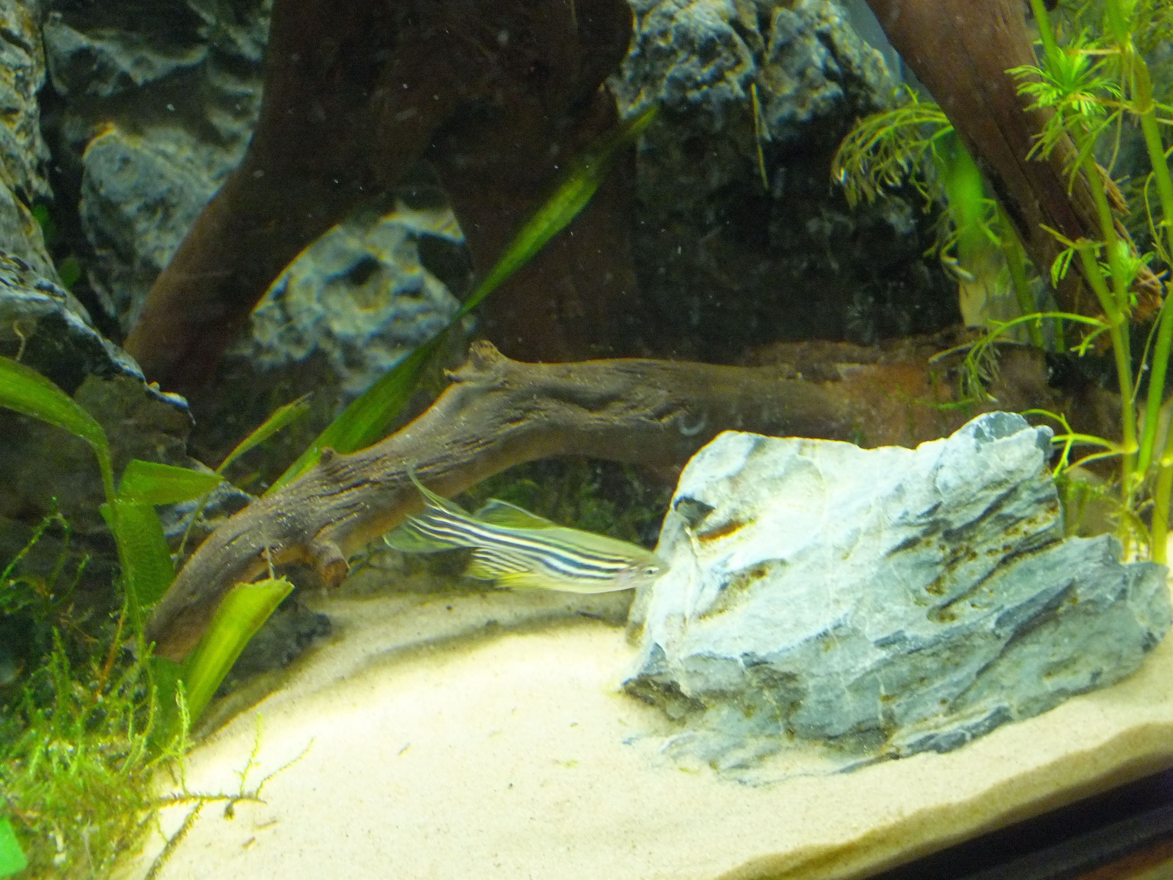 DSCF1492-min.JPG
