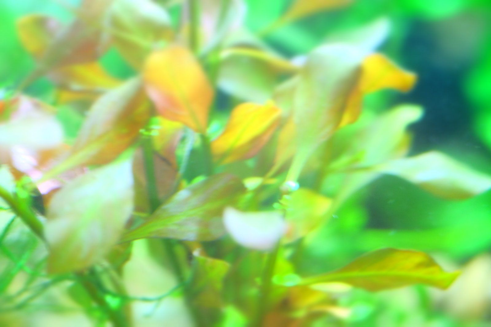 DSCF1724.JPG