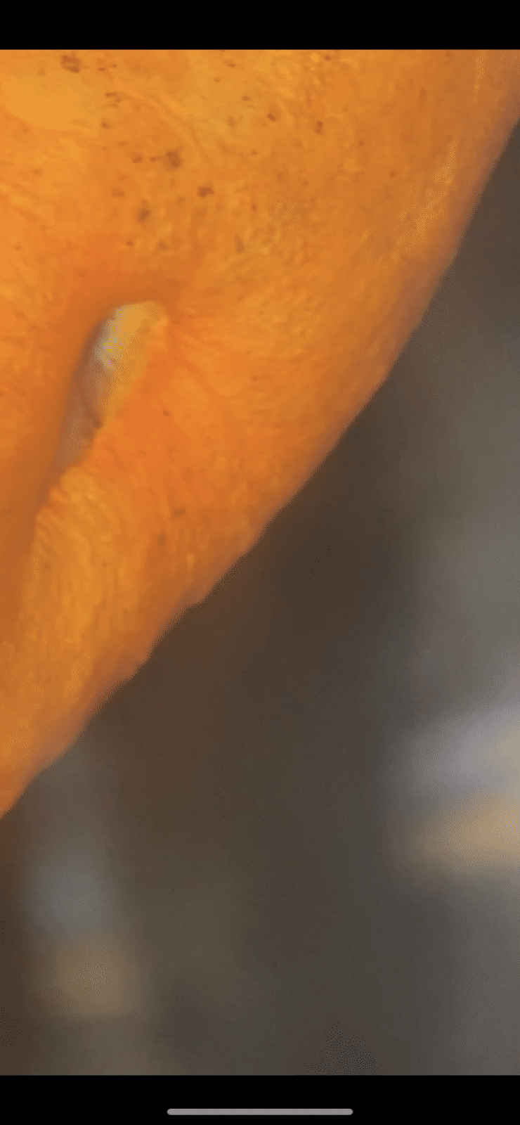 ECBAAC59-727B-46D1-BF4A-176B6B893877.png