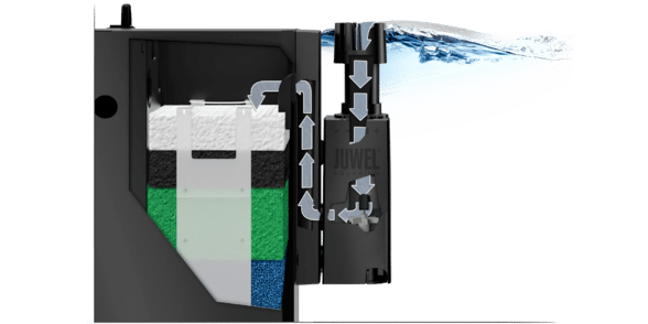 FFB63032-E0B7-458C-A4C9-83B99BE2826F.png