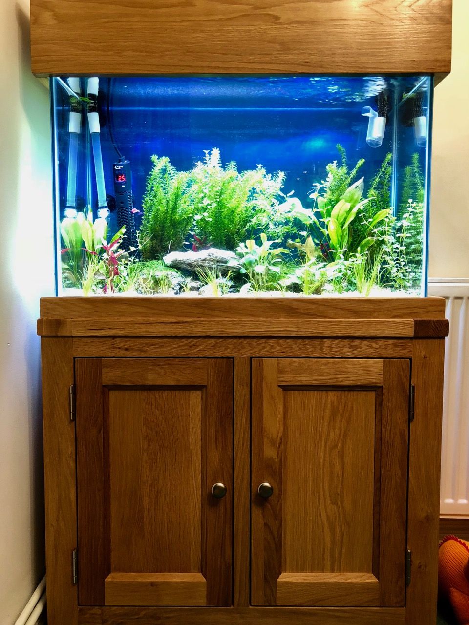 FishTank - 1.jpg