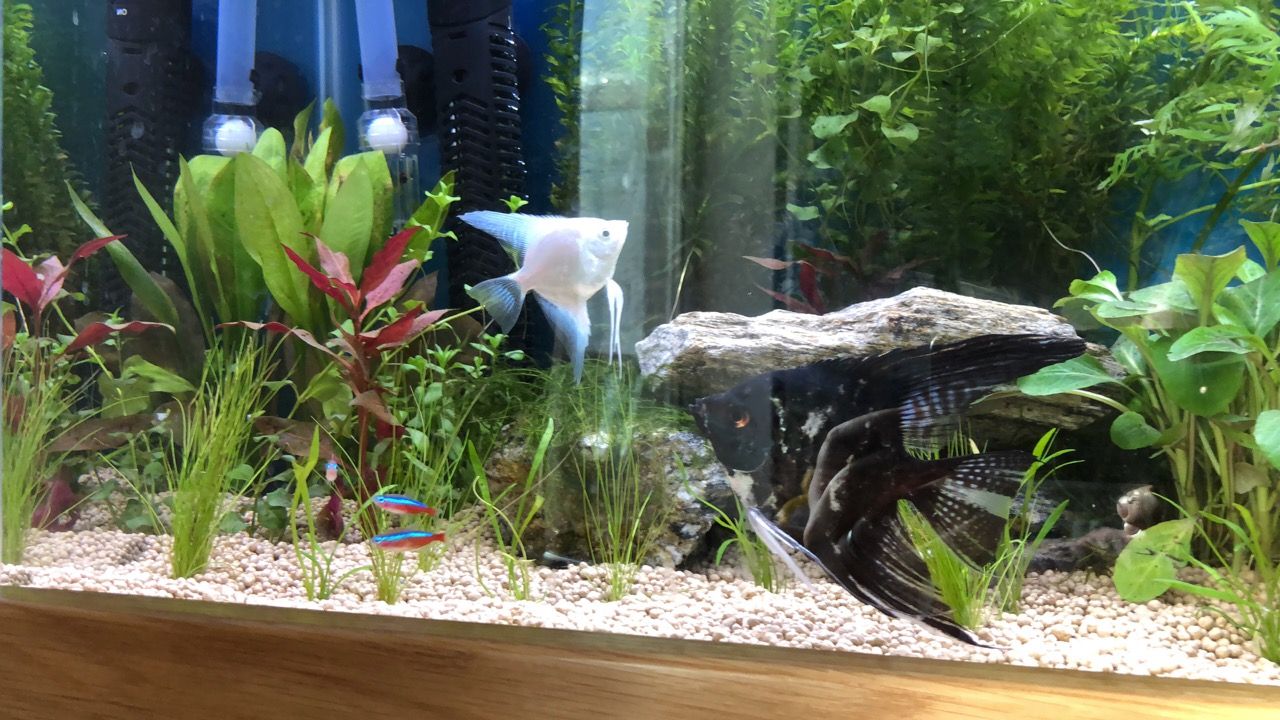 FishTank - 4.jpg