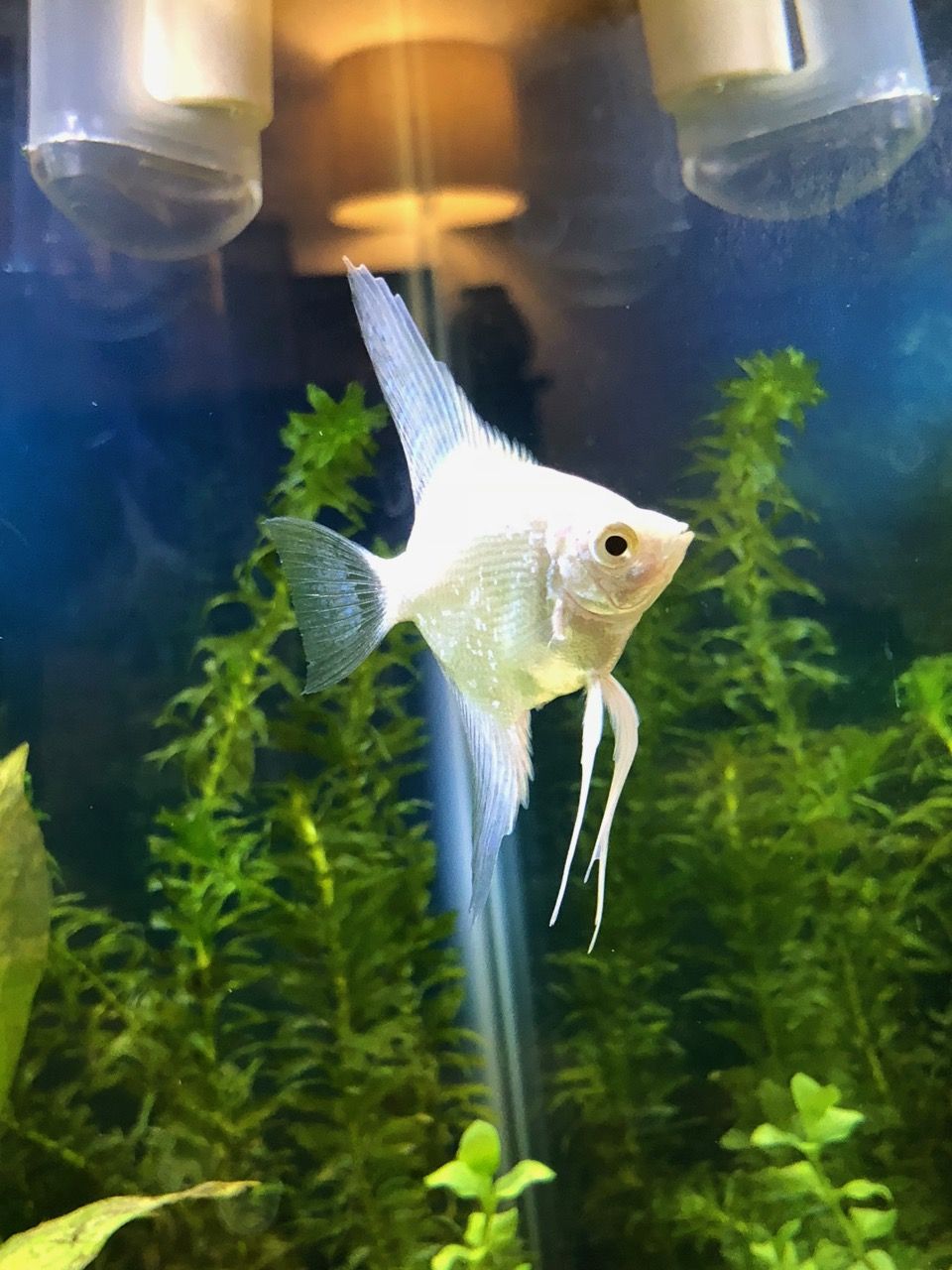 FishTank - 6.jpg