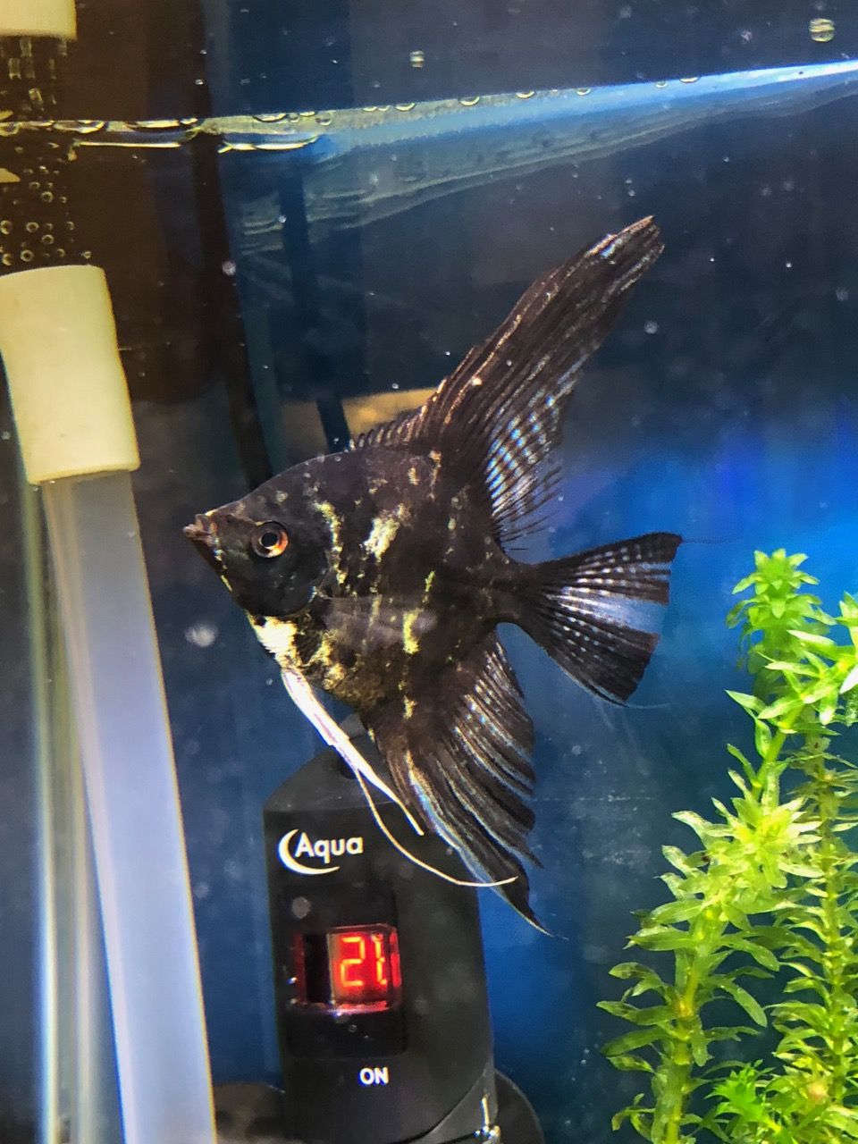 FishTank - 7.jpg