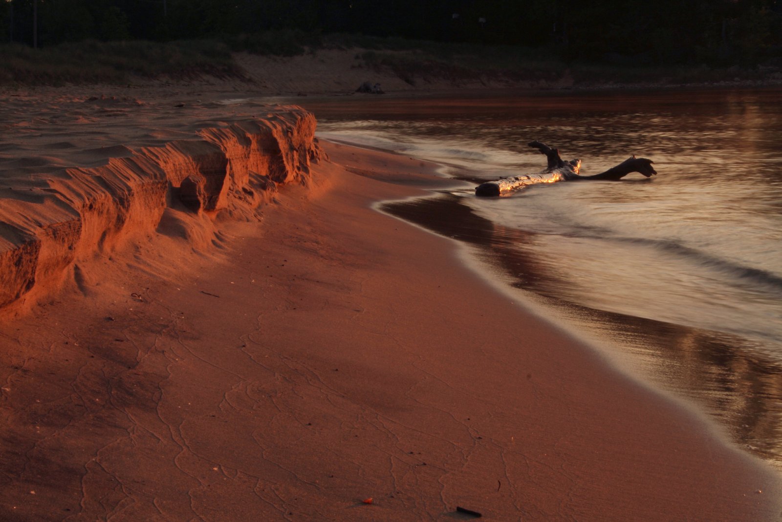 fred landscape 3.jpg