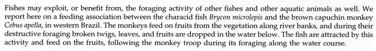 fruitfish.png