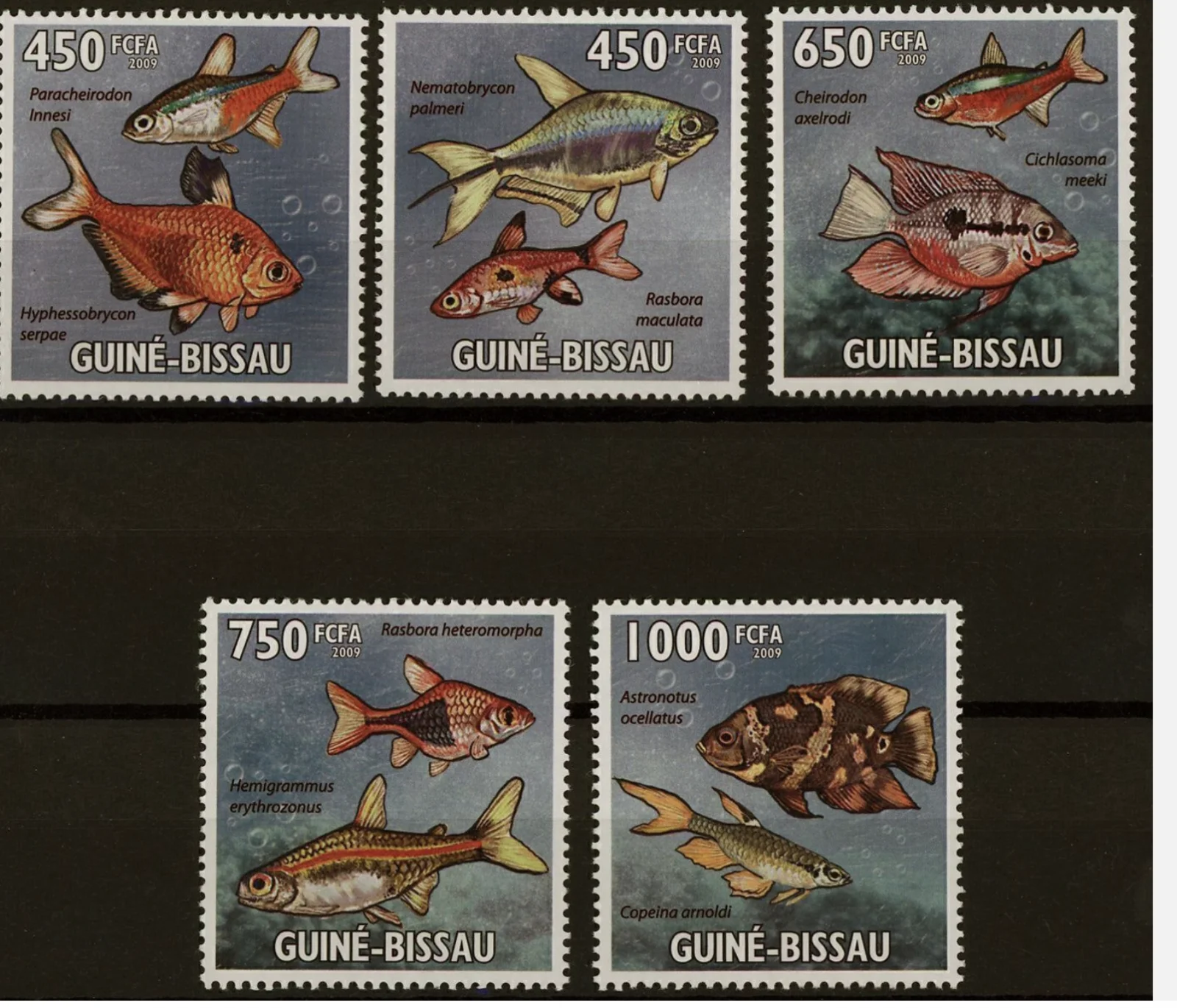 guinea bissau.webp