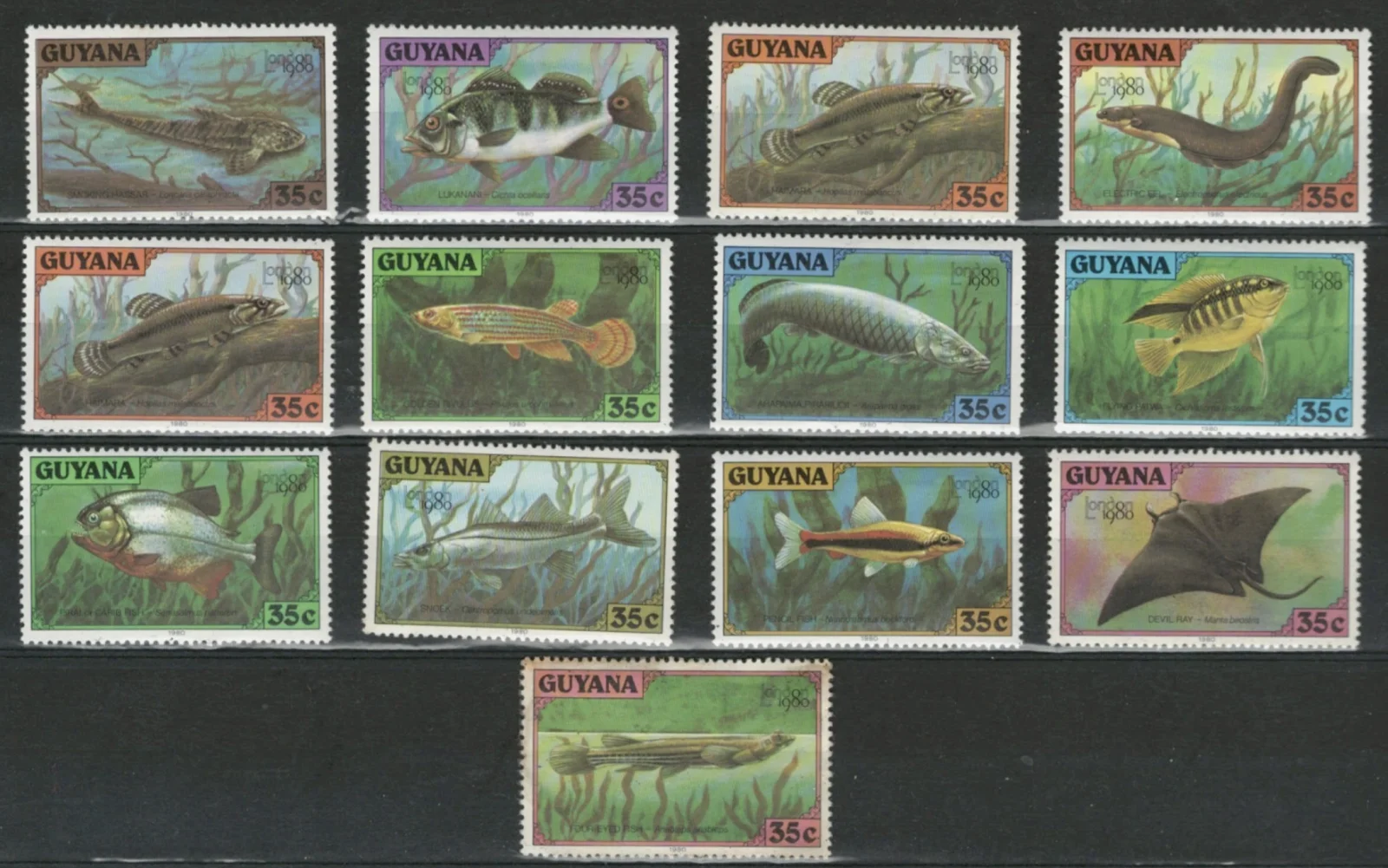 guyana.webp