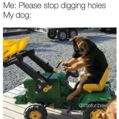 holes.jpg