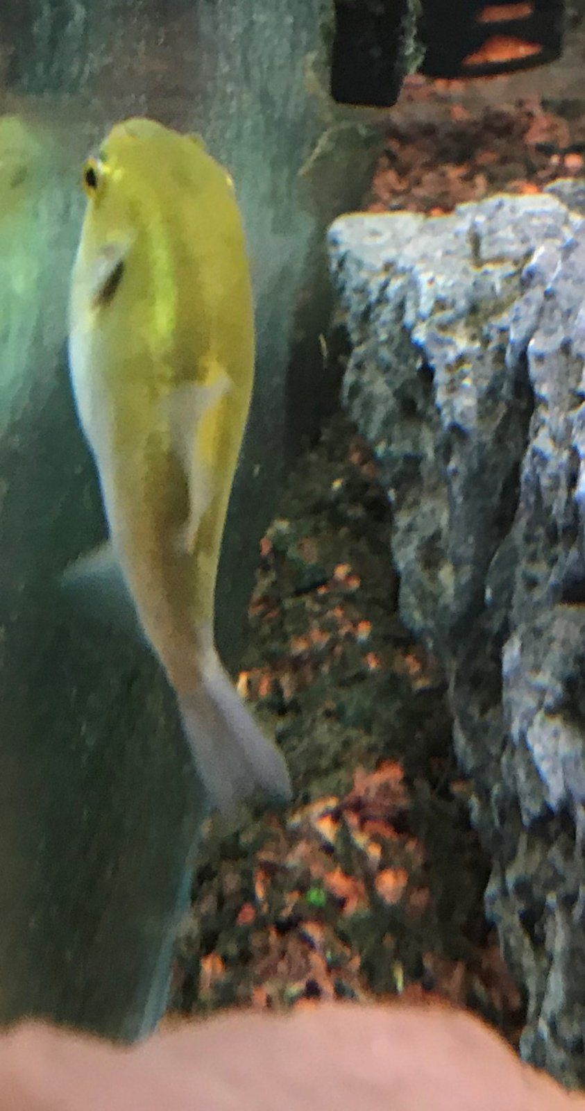 image2.jpeg