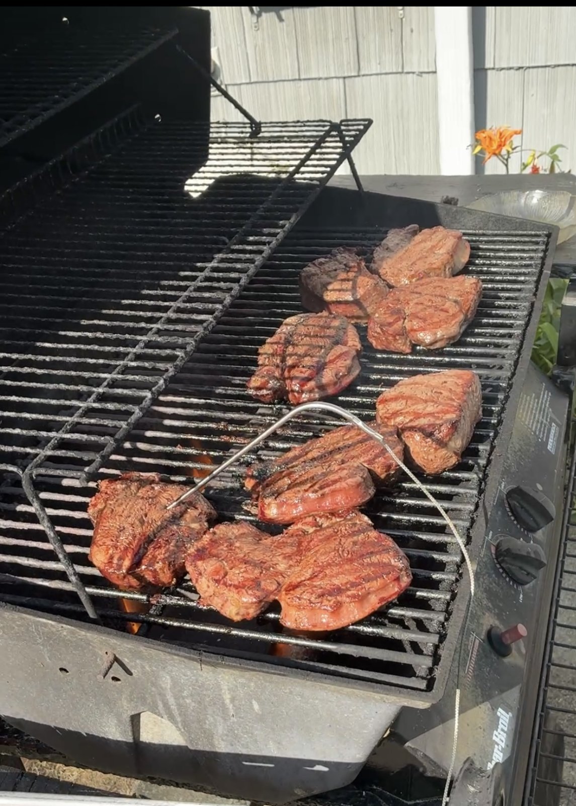 IMG_0182.jpeg