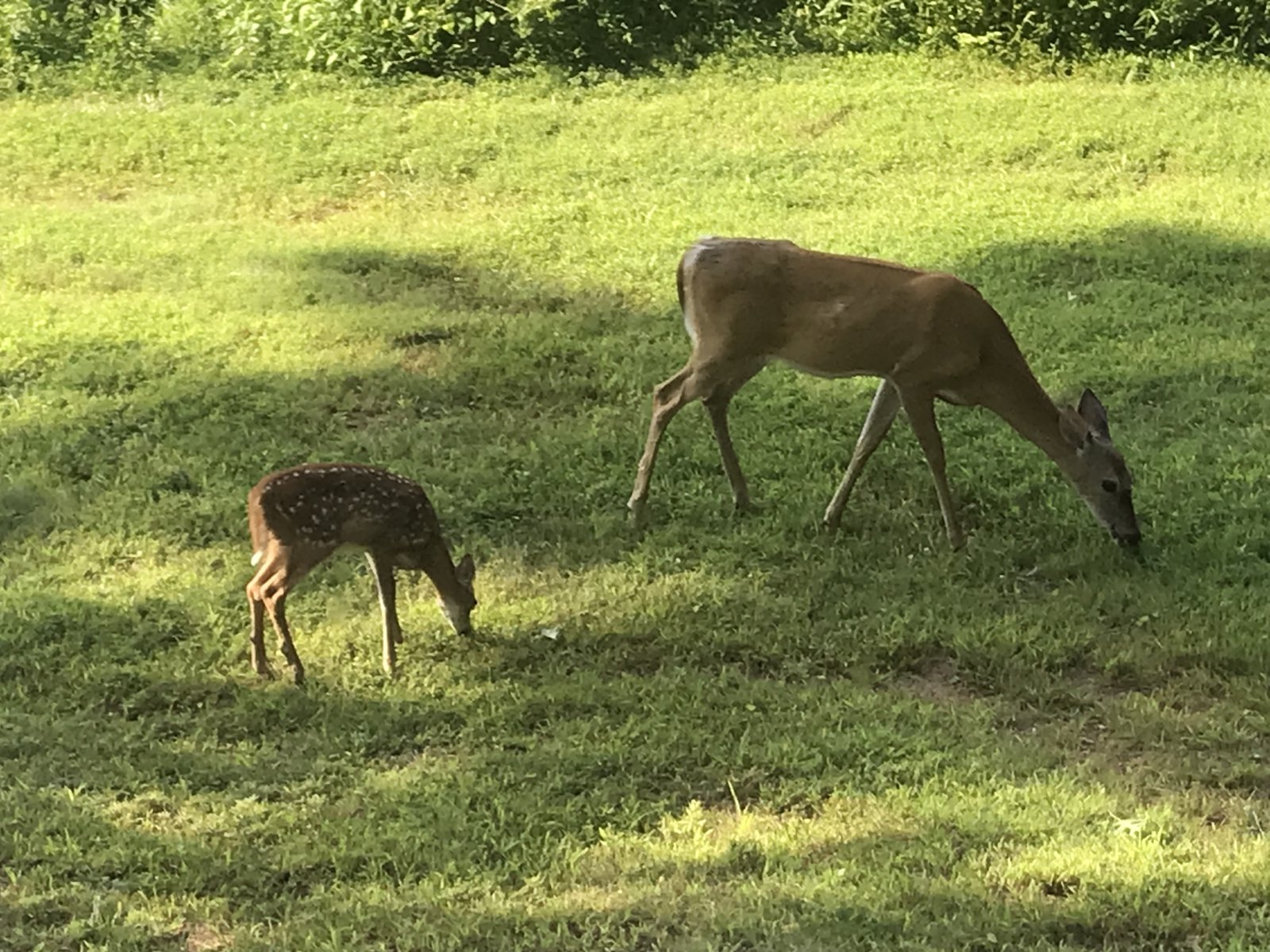 IMG_0846.jpeg