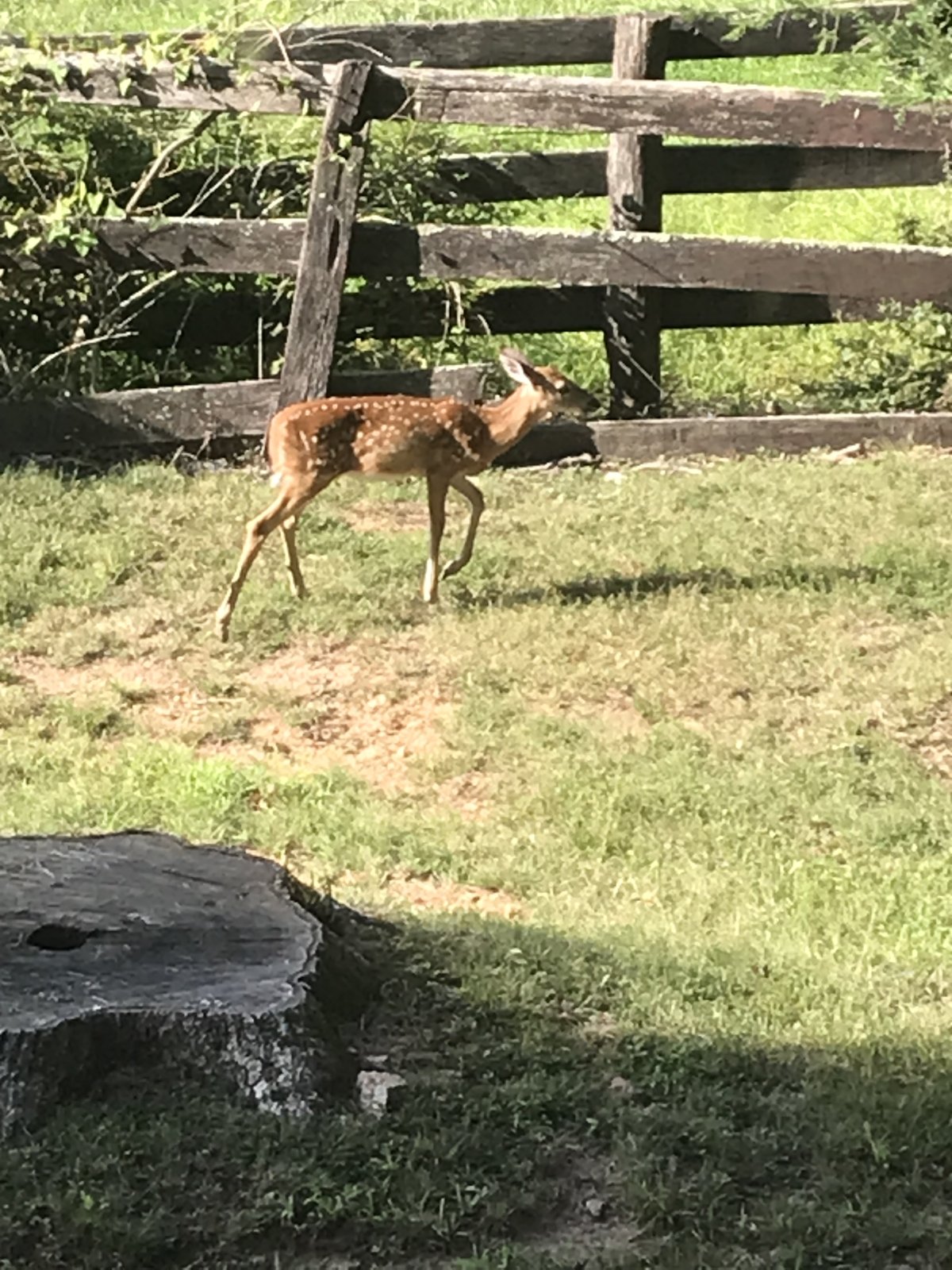 IMG_0848.jpeg