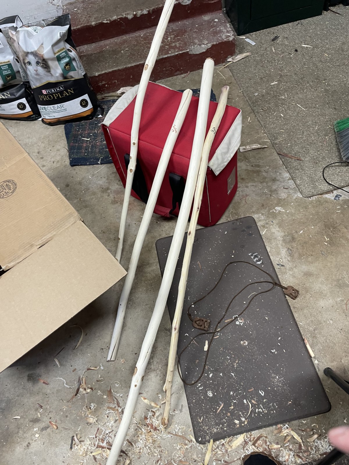 IMG_1961.jpeg