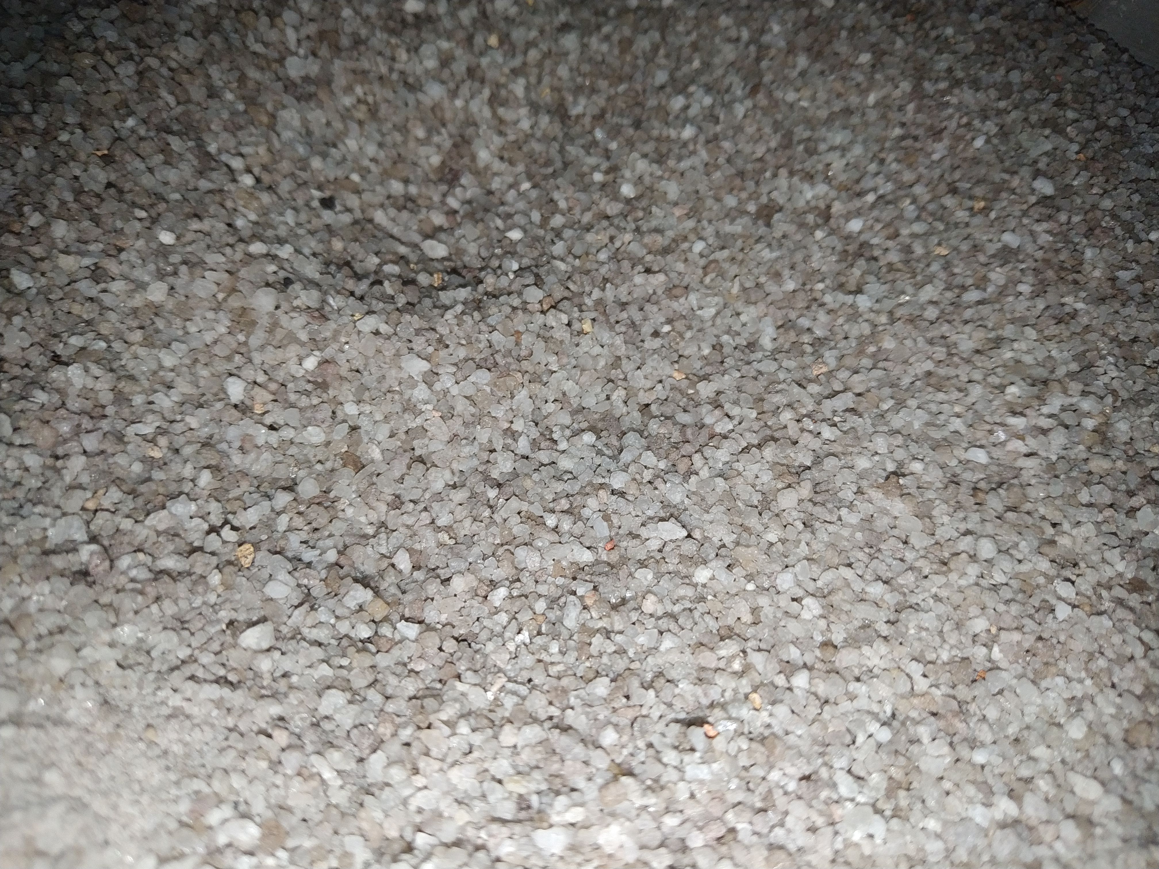 IMG_20200526_121205.jpg