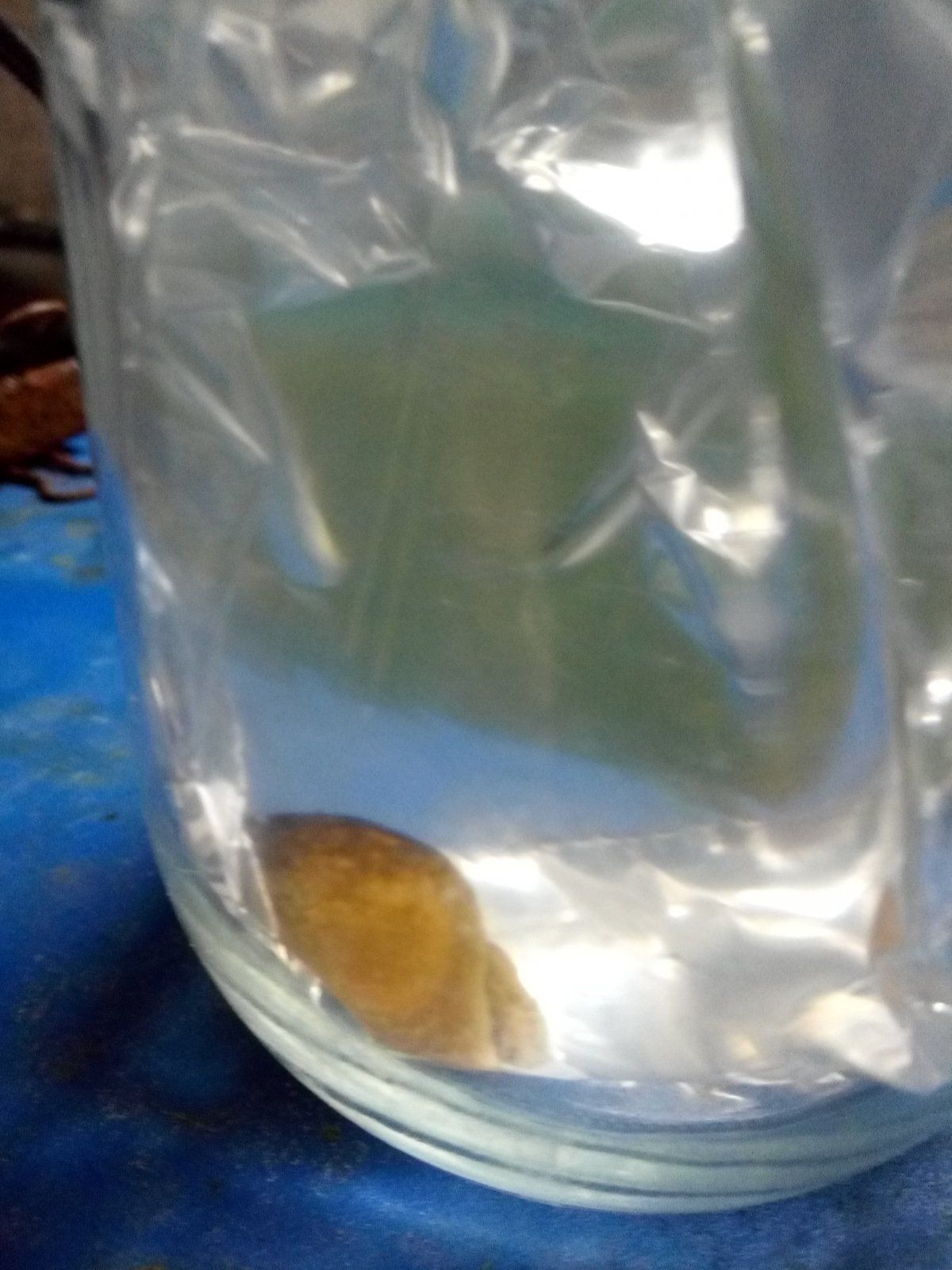 www.fishforums.net