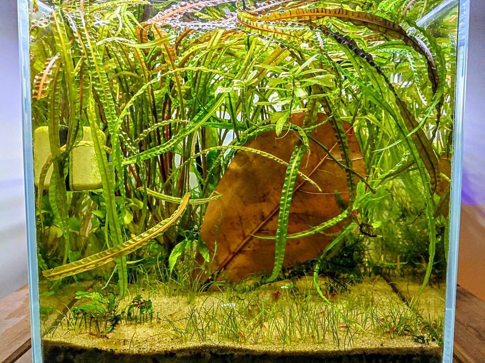 IMG_20241020_222143_HDR~2.jpg