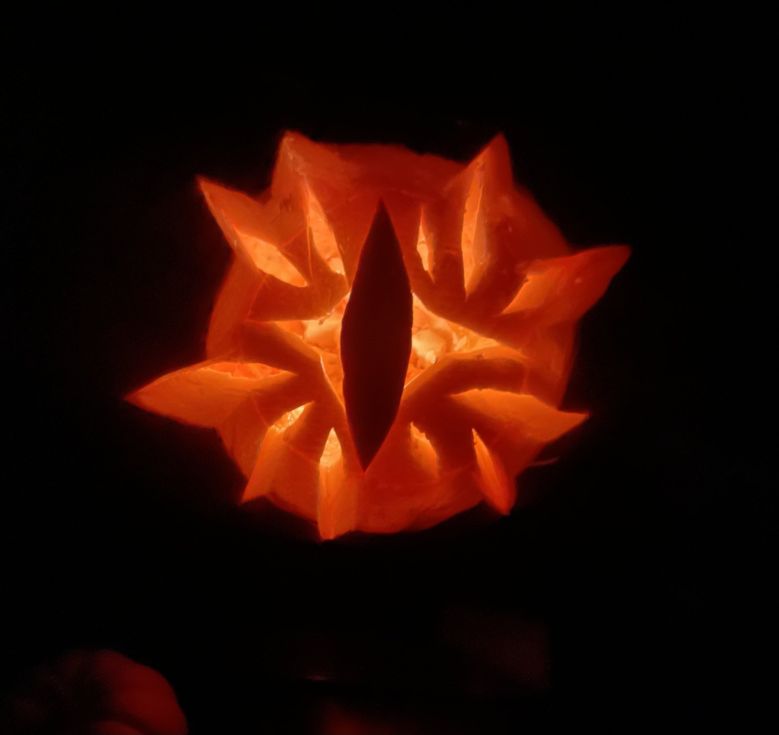 IMG_2194.jpeg IMG_2194.jpeg