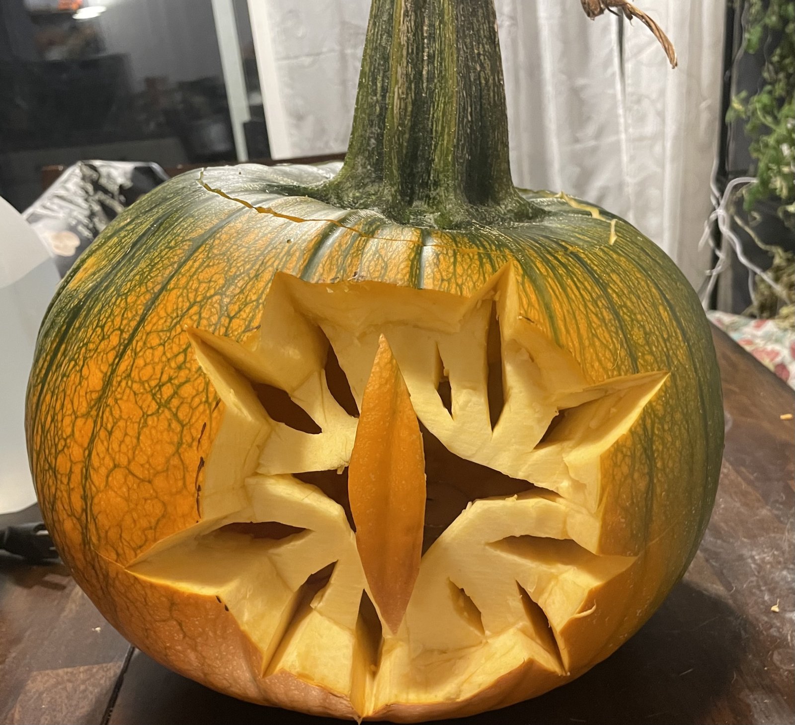 IMG_2197.jpeg IMG_2197.jpeg