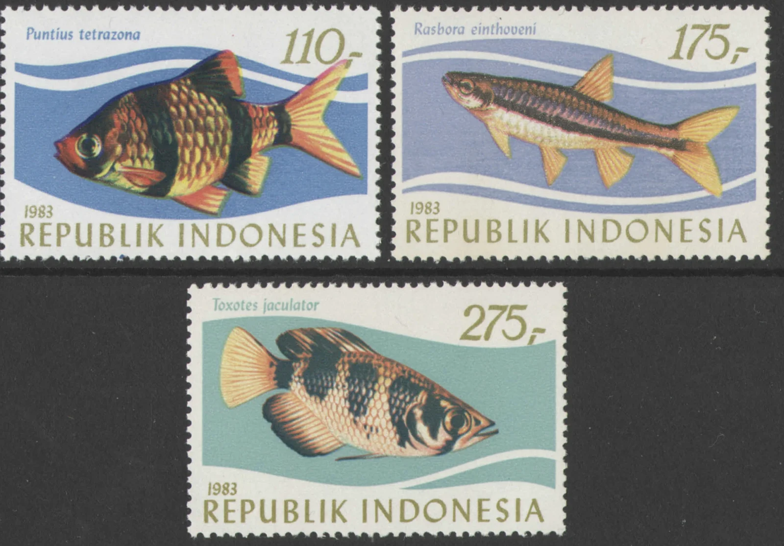 Indonesia.webp