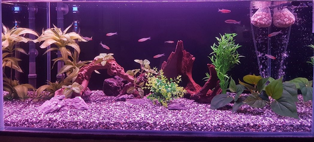 Main Tank1.jpg