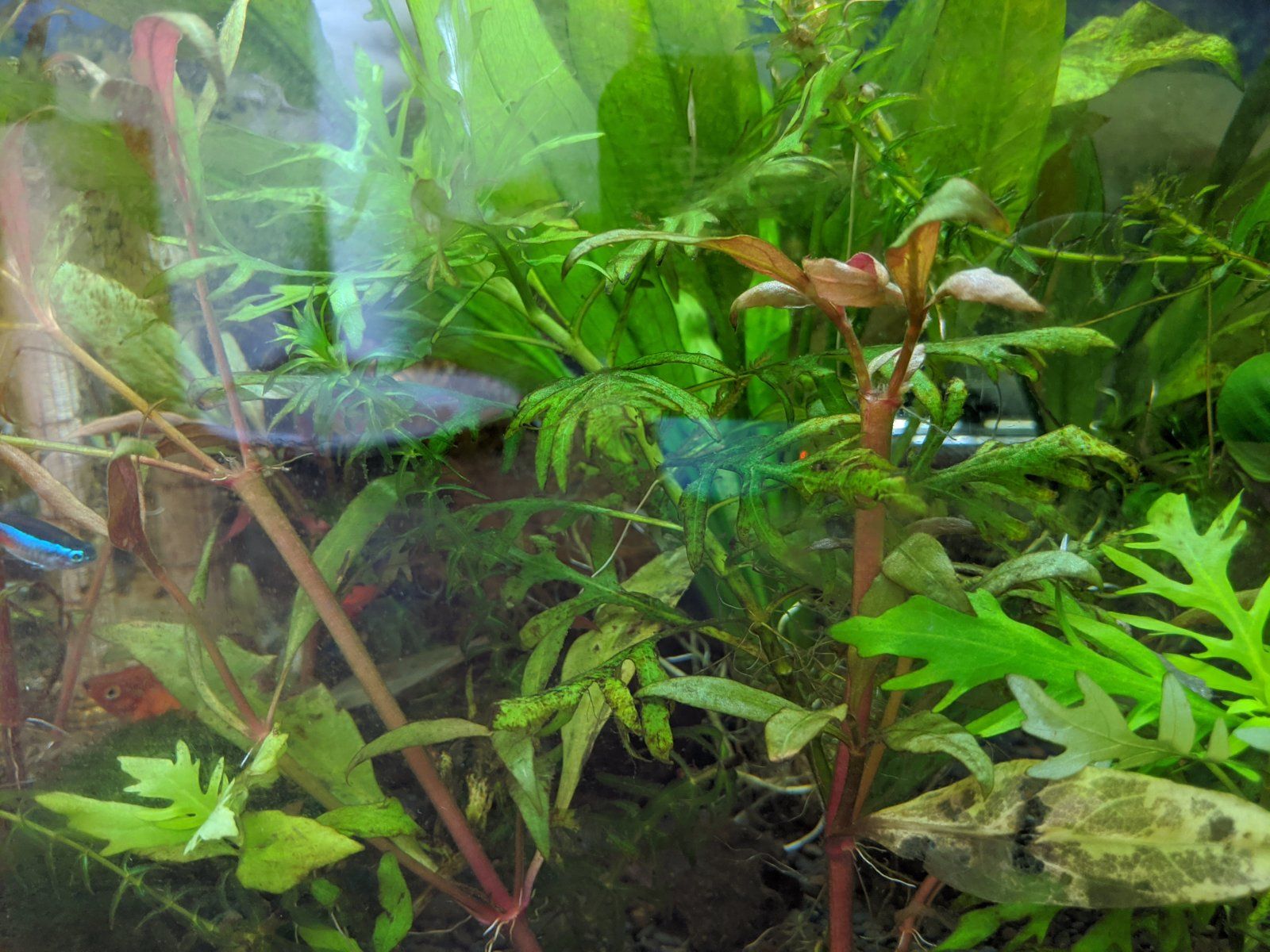 MVIMG_20200919_125746.jpg