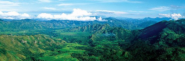 nature_2.jpg