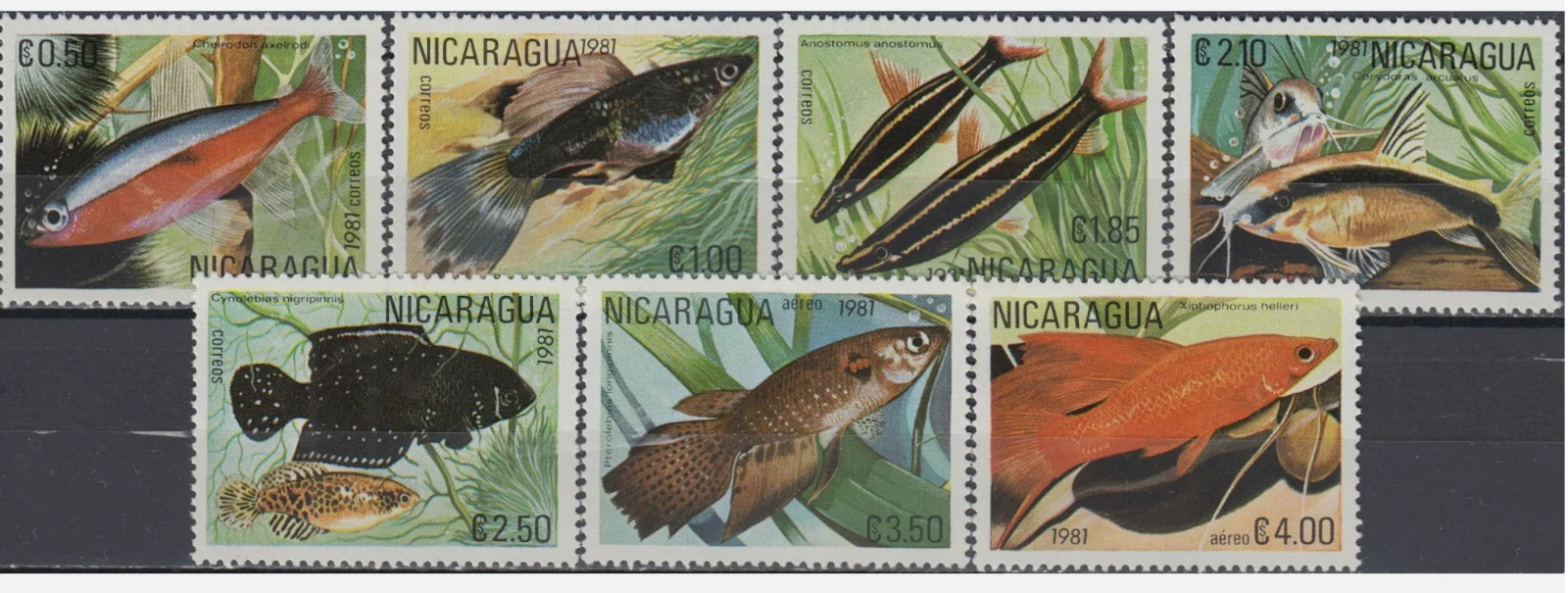 nicaragua.webp