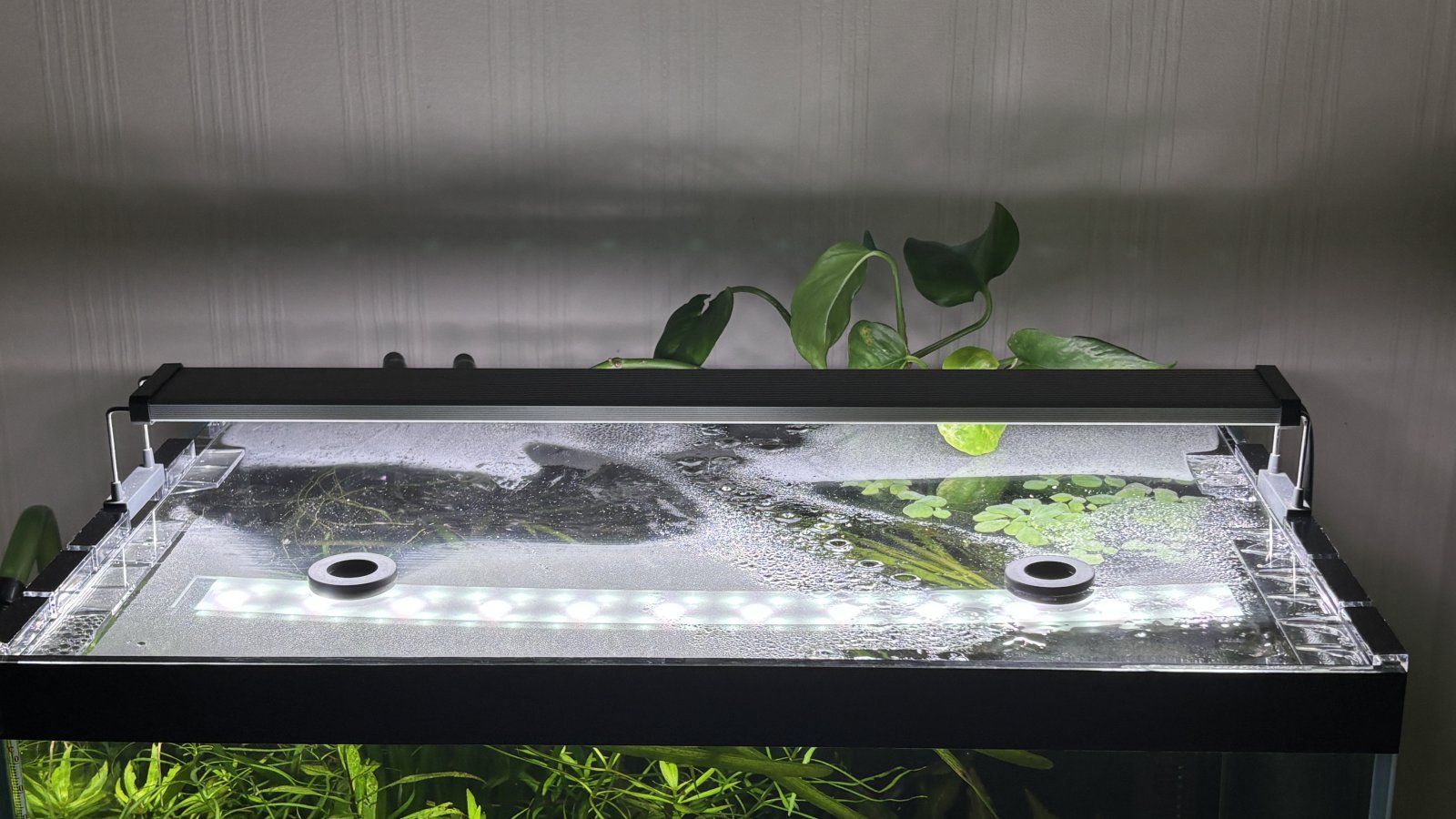 Photo 26-01-2026, 18 12 56.jpg